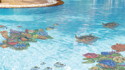 Loggerhead Turtle with Shadow
