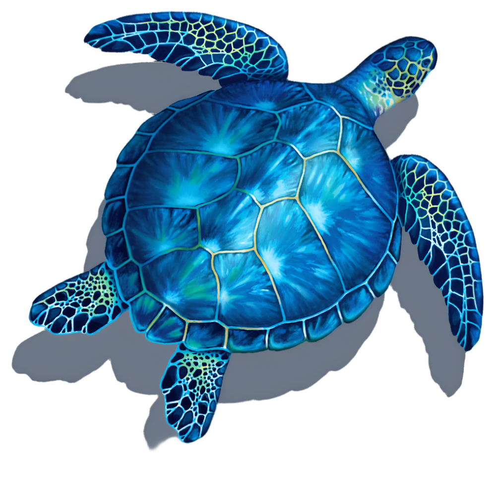 Blue Turtle with shadow