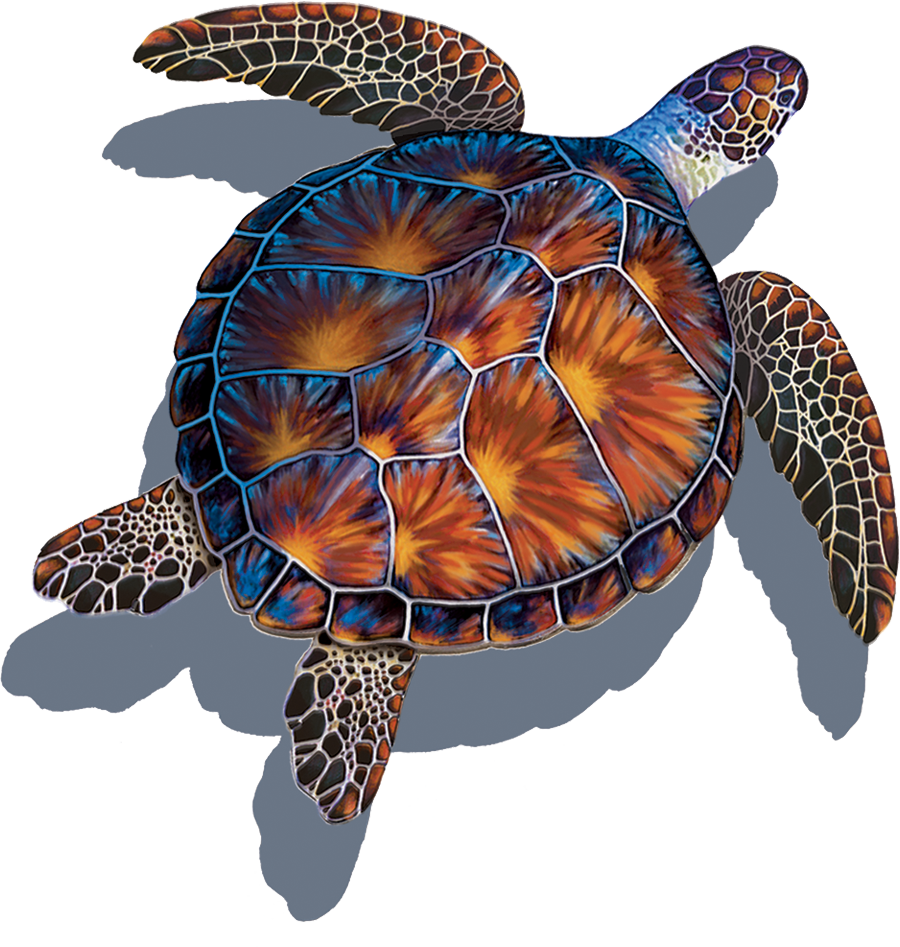 Brown Turtle with Shadow