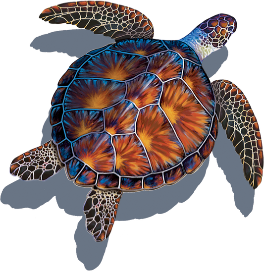 Brown Turtle with Shadow