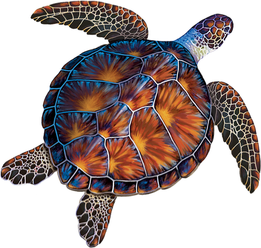 Brown Turtle