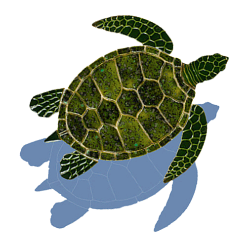 Green Sea Turtle GT7 (with shadow) Ceramic Mosaic – National Pool ...